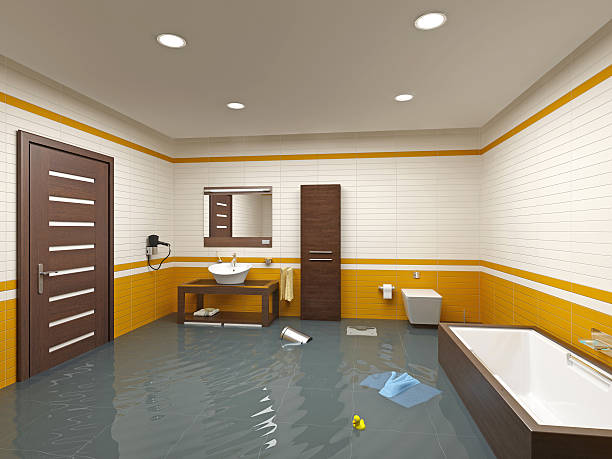 Best Flood Cleanup and Water Removal in USA